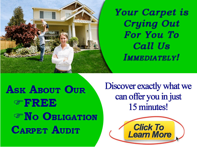 Alexanders Carpet Cleaning Carpet Cleaning Services